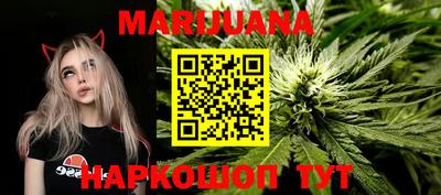 Альфа ПВП Малгобек