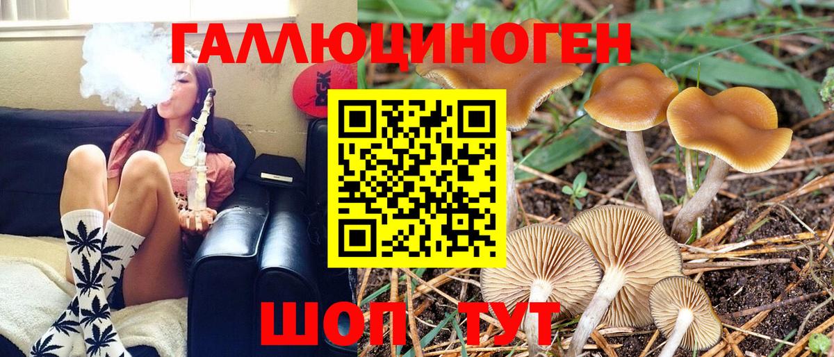 Галлюциногенные грибы Magic Shrooms  Вход с VPN  Владимир 